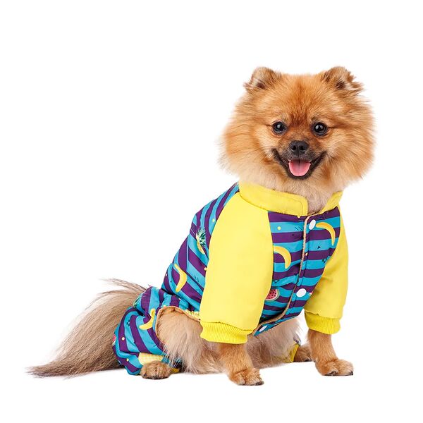 Комбинезон для собак в полоску с фруктами L голубой (унисекс)