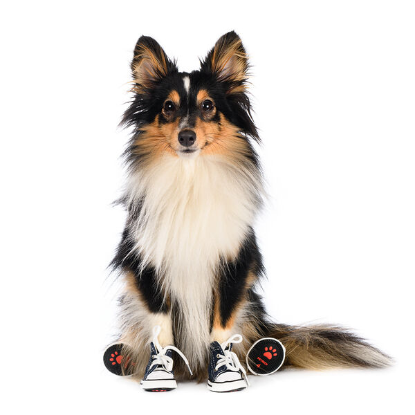 Кеды джинсовые для собак S синий (унисекс)