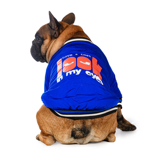 Куртка для собак Look S голубой (унисекс)