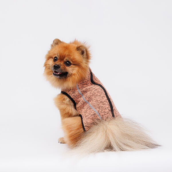 Свитер меланж на молнии для собак, 35 см, бежевый