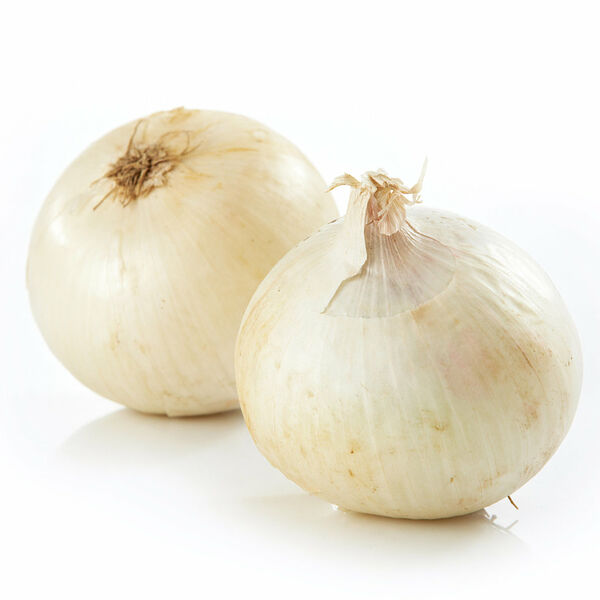 Лук серебристый