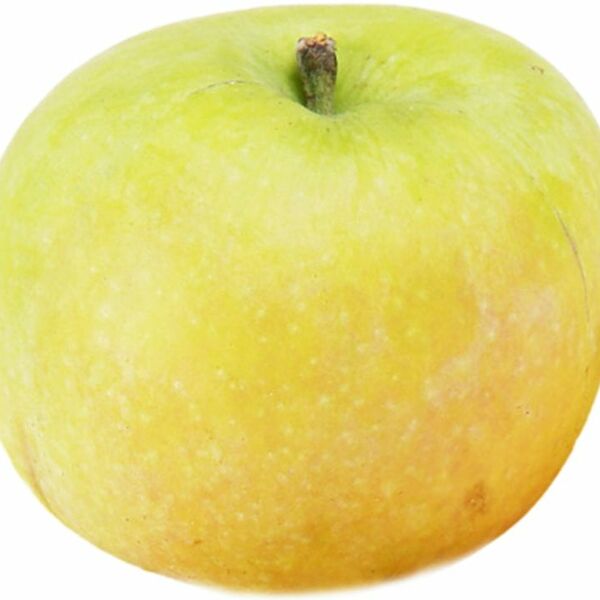 Яблоко сезонное