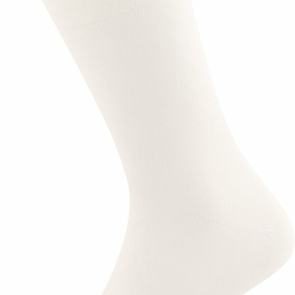 Носки мужские INWIN р. 25 (38–40) белые, Арт. BMS04-06
