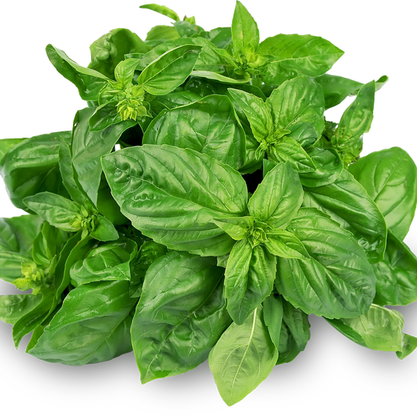 Базилик зеленый свежий, вес