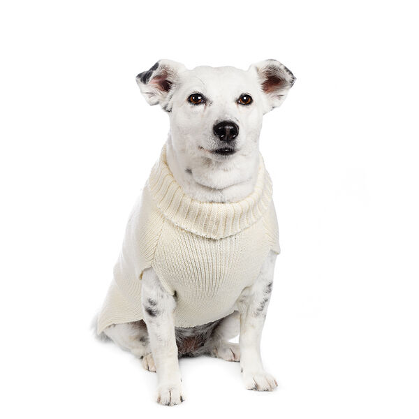 Свитер для собак 55см 3XL бежевый (унисекс)