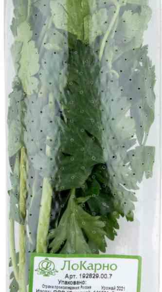 Петрушка ЛоКарно