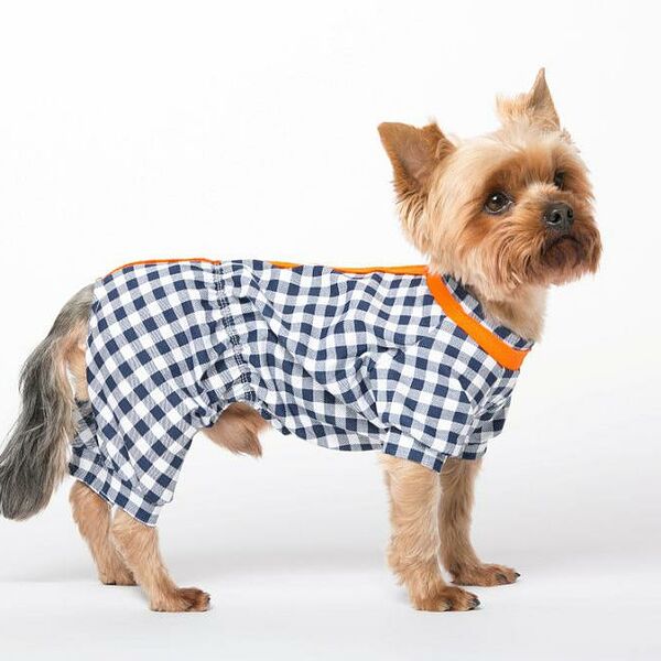 Комбинезон для собак Клетка S черный (унисекс)