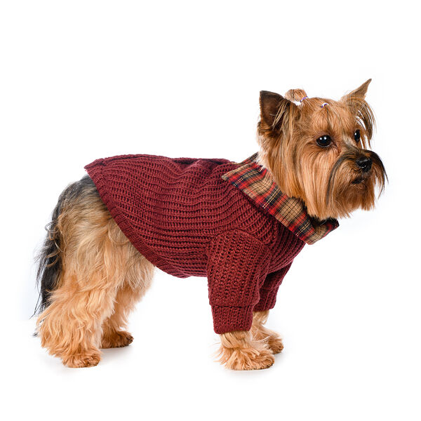 Свитер с пуговицами для собак S бордовый (унисекс)