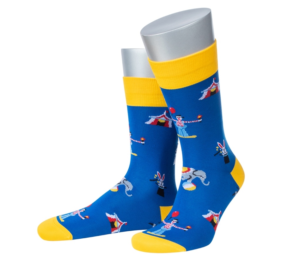 

Носки мужские Collirossi Ufi4050-19 цвет синий р.27 (41-42) 90% хлопок, 10% полиамид