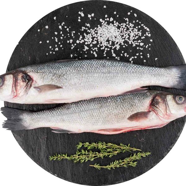 Сибас охлаждённый очищенный, потрошёный с головой, (1 штука ~ 300 г)