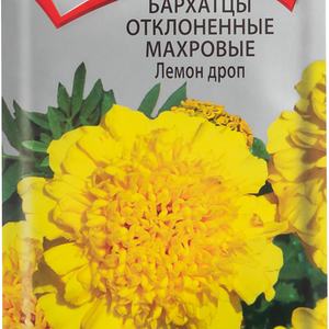 Семена Бархатцы отклоненные Поиск Лемон дроп махровые