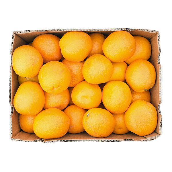 Апельсины (Турция) ОПТ