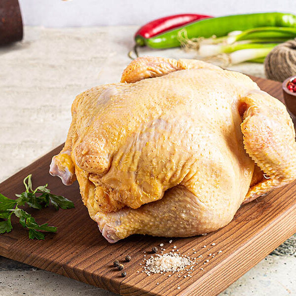 Курица домашняя