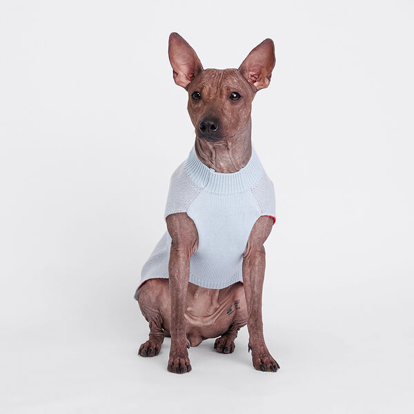 Свитер с оленем для собак, 2XL, 41 см, голубой