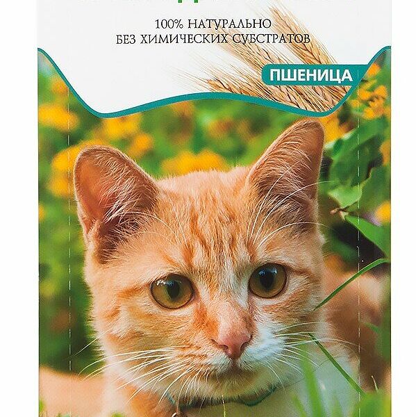 Лакомства для кошек трава ТМ TiTBiT (ТитБит)