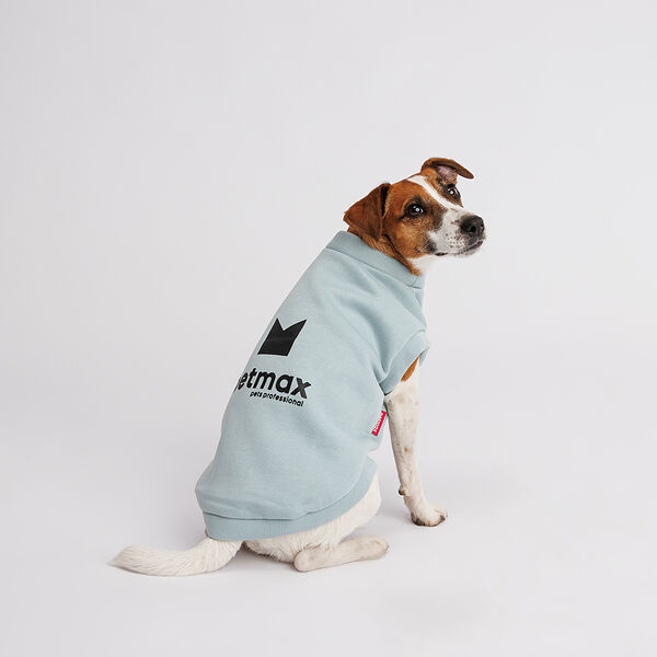 Толстовка для собак, 3XL, голубая