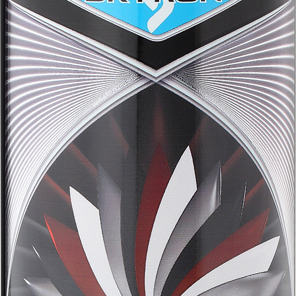 Грунтовка SKYRON акриловая, универсальная, черная, 520мл