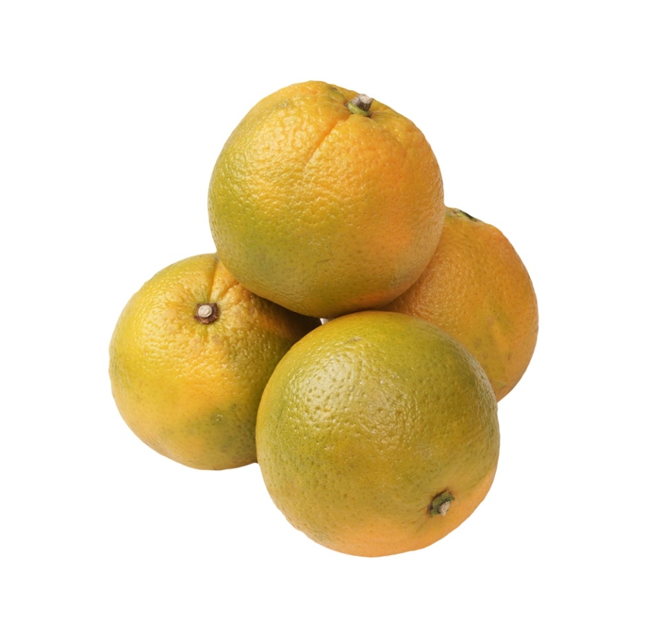 

Апельсины Вашингтон вес