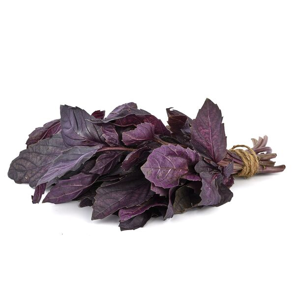 Базилик красный