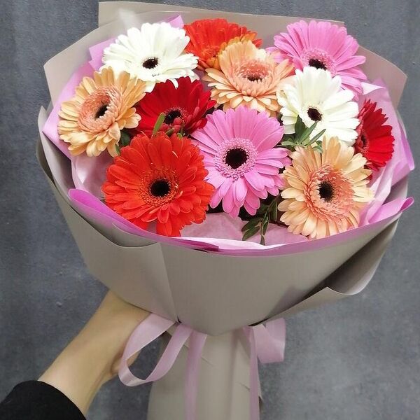 Микс гербер