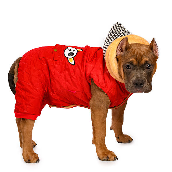 Комбинезон для собак L красный (унисекс)