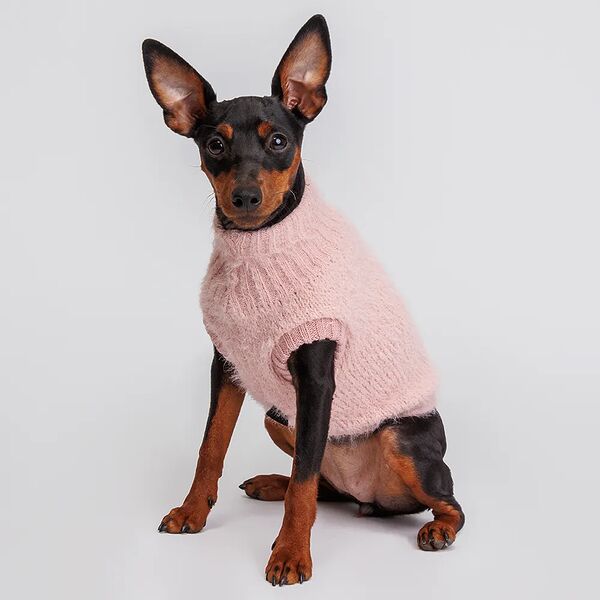 Свитер для кошек и собак, XS, розовый