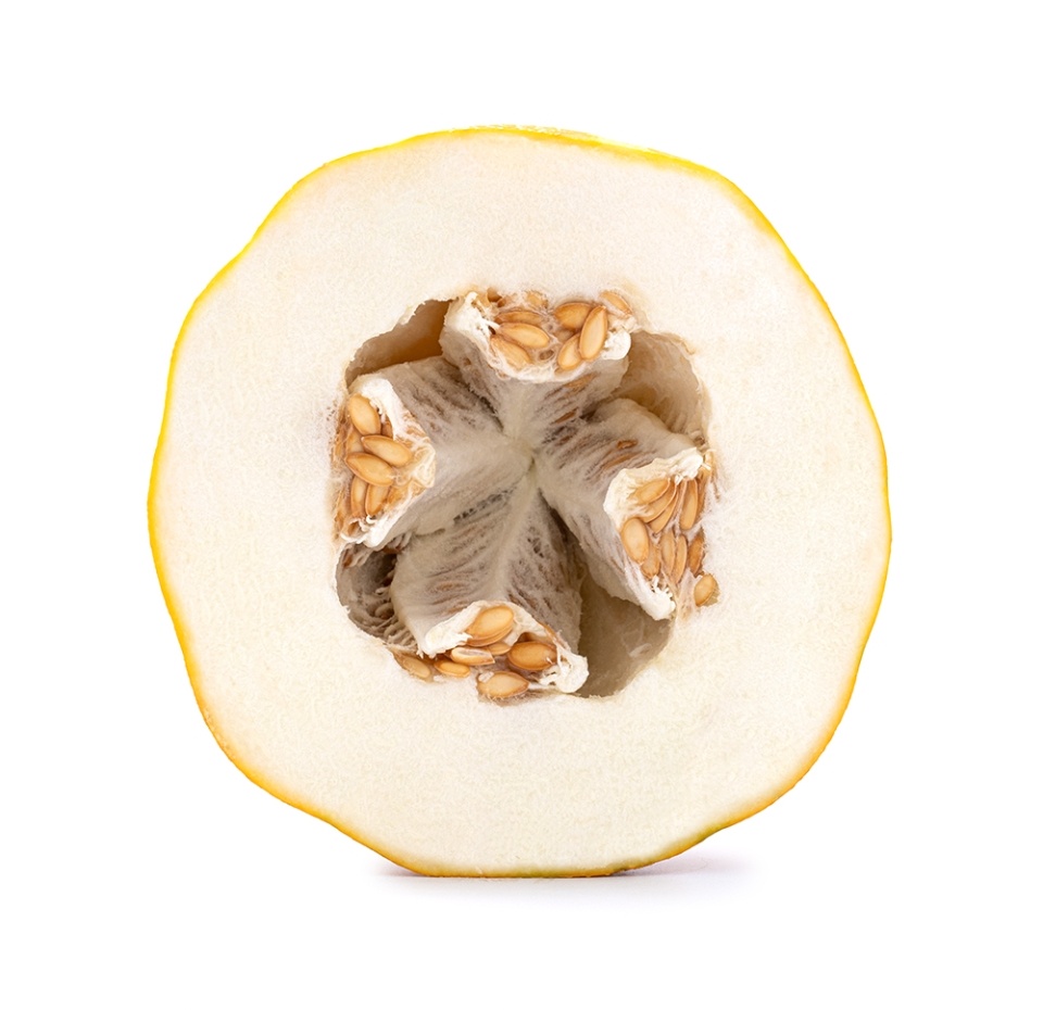 

Дыня «Эфиопка»