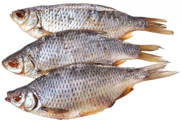 Красноперка вяленая