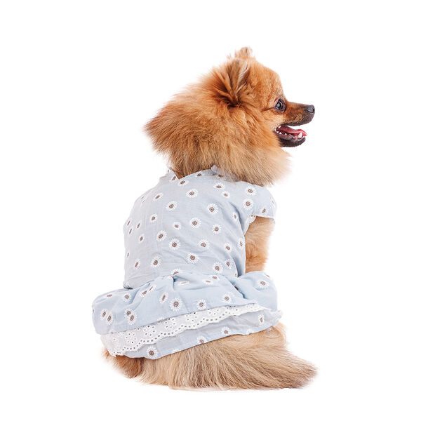 Платье для собак с ромашками S голубой (девочка)