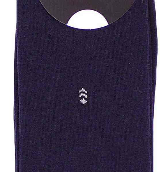 Носки мужские Гранд ZCL110 цвет: синий, размер: 29-31 (45-47)