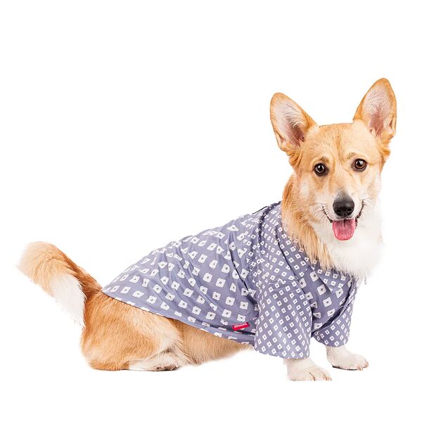 Рубашка для собак 2XL голубой (унисекс)