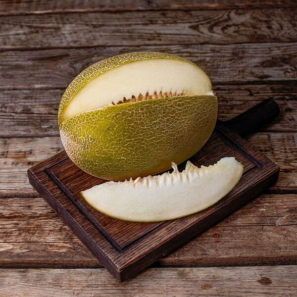 Дыня Колхозница Узбекистан