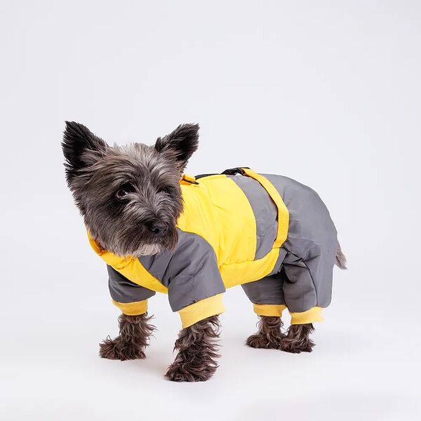Комбинезон на замке для собак, M, желто-серый