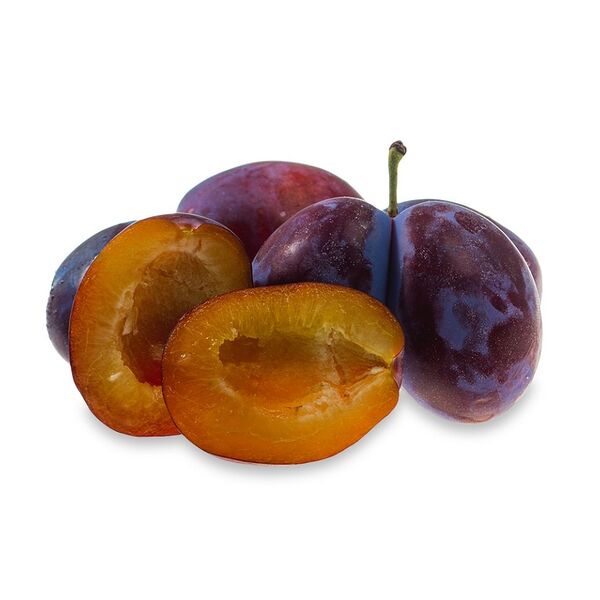 Слива Венгерка