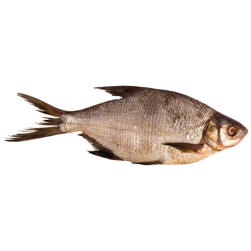 

Лещ непотр охл вес до 1.0 кг