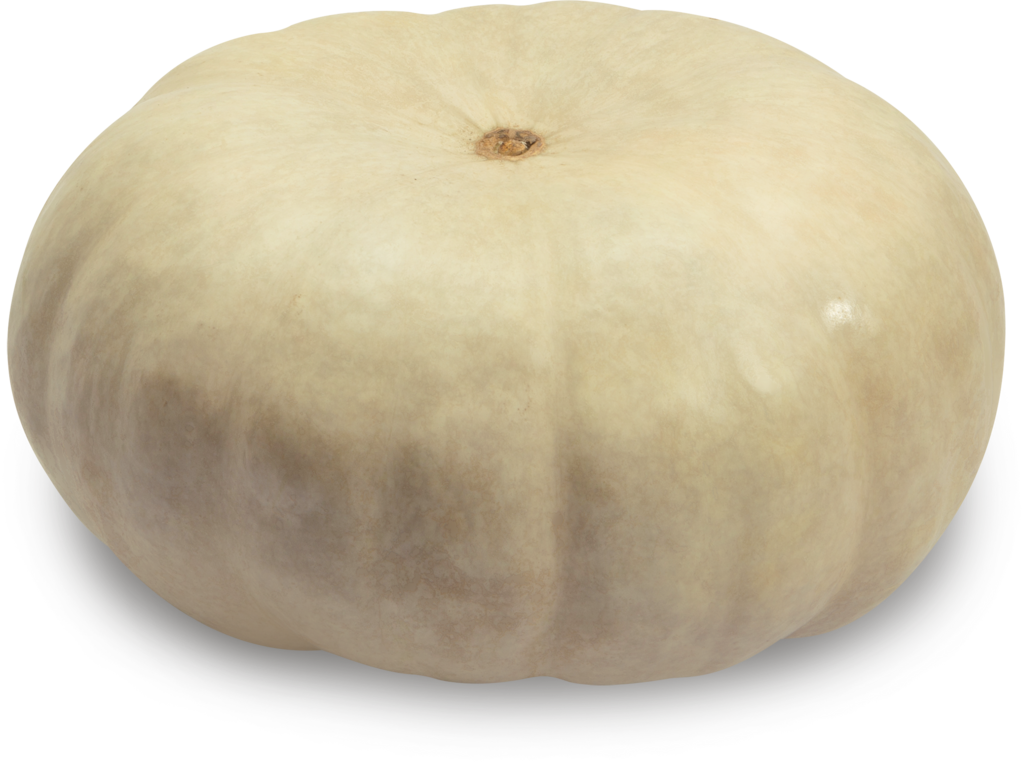 

Тыква серая, весовая