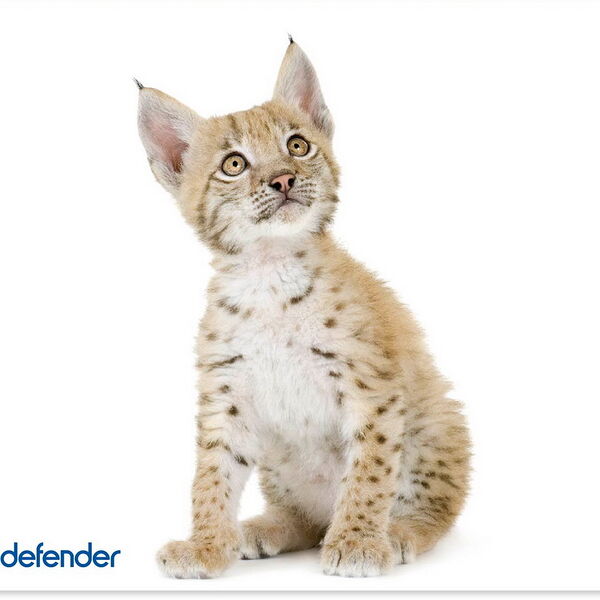 Коврик Defender Шелк + резина 