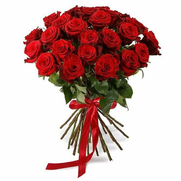 Букет из 25 красных роз Фридом 60 см