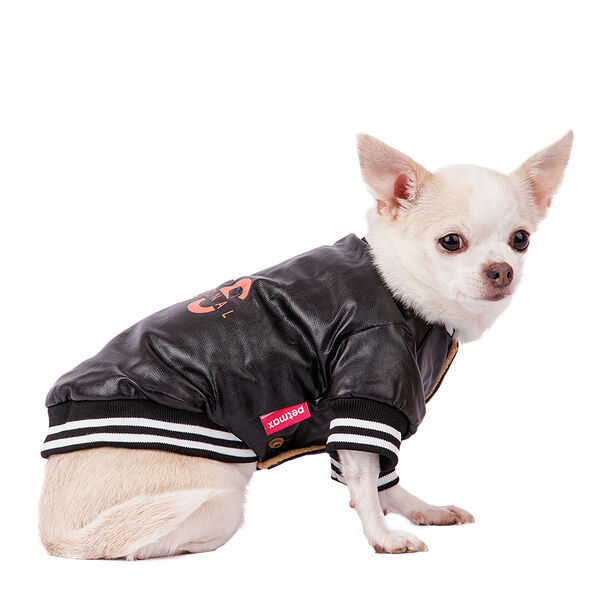 Куртка из кожзама для собак XS черный (унисекс)