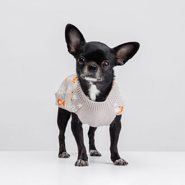 Свитер со снежинками для собак Лиса, XS, 19 см, серый