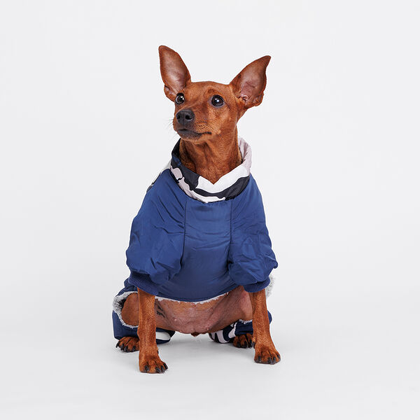 Комбинезон камуфляжный для собак, XS, черно-синий