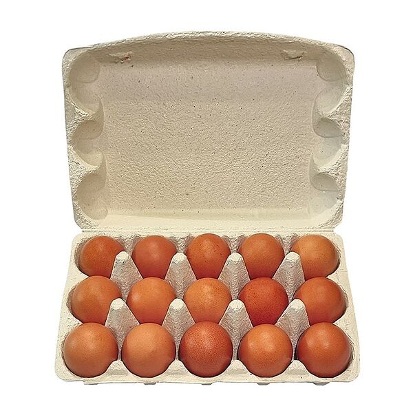Яйцо куриное Праксис Свободный выгул С1 15 шт, Россия