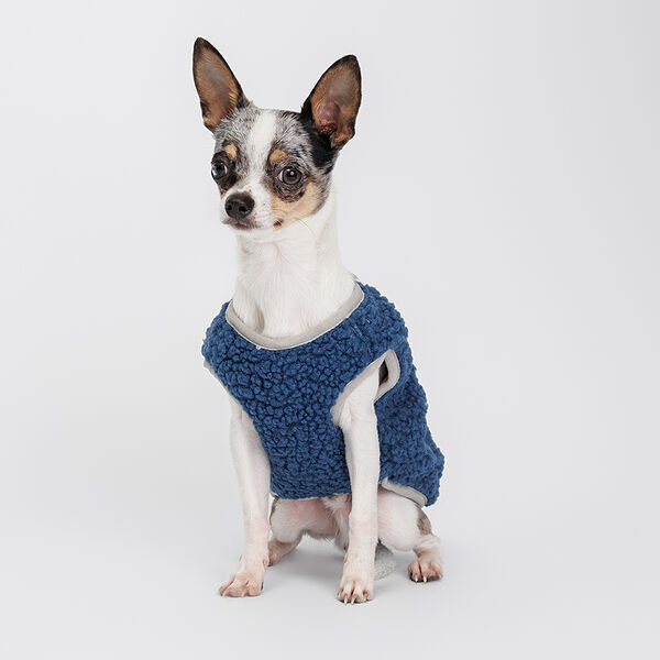 Жилетка-пальто для собак, S, синяя