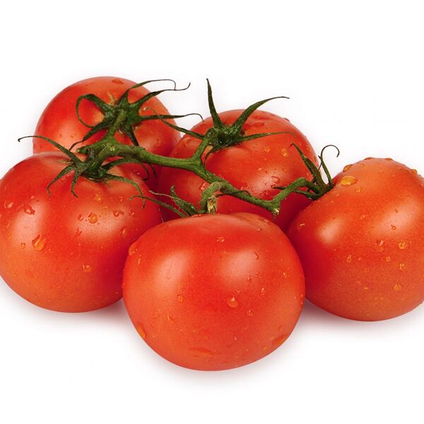 Помидор на ветке Турция