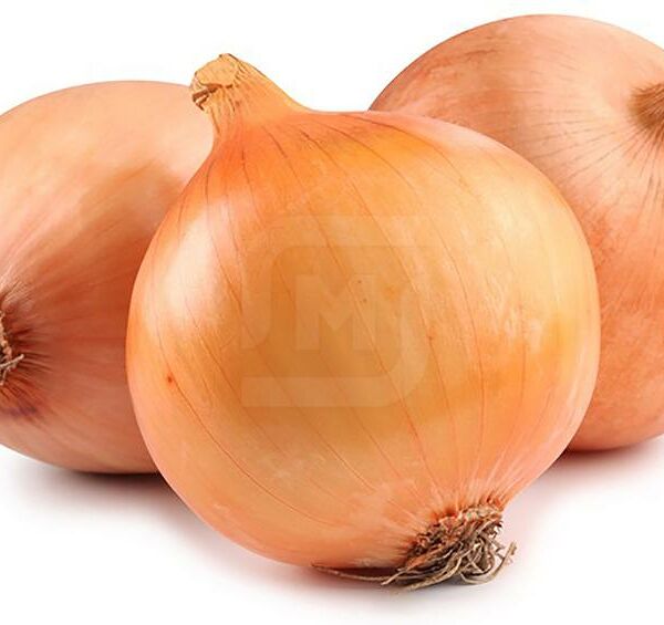 Лук репчатый