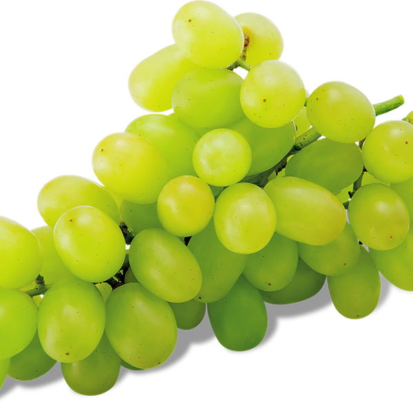 Виноград  зеленый, вес 