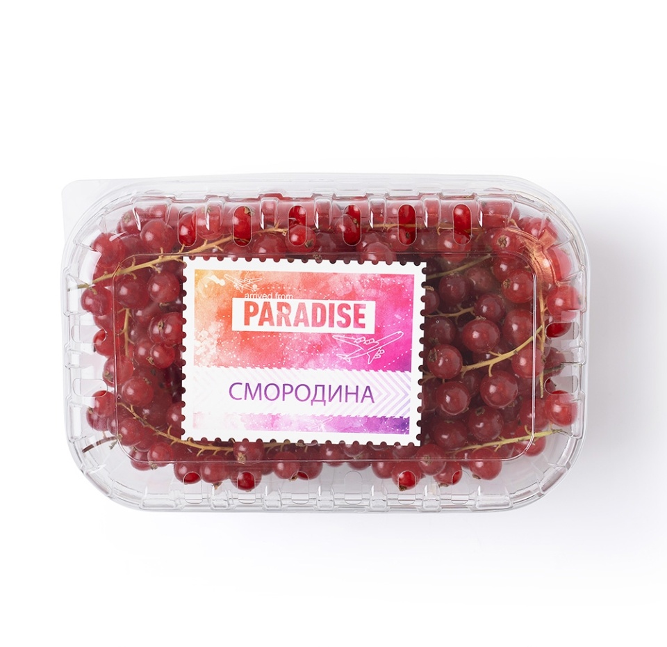 

Смородина красная 500 г