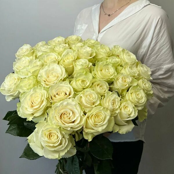 БЕЛАЯ РОЗА ПРЕМИУМ КЛАССА 60см 29 шт