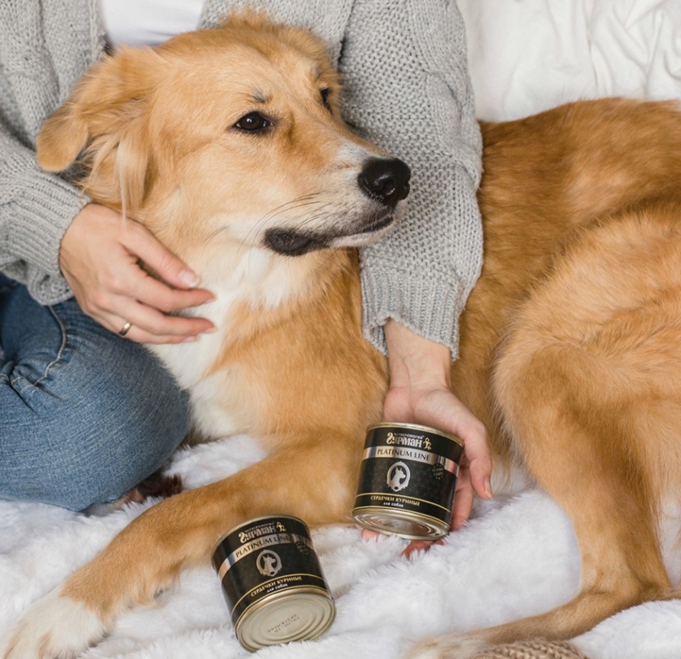 

Корм для собак Четвероногий гурман Platinum Line сердечки куриные 240 г