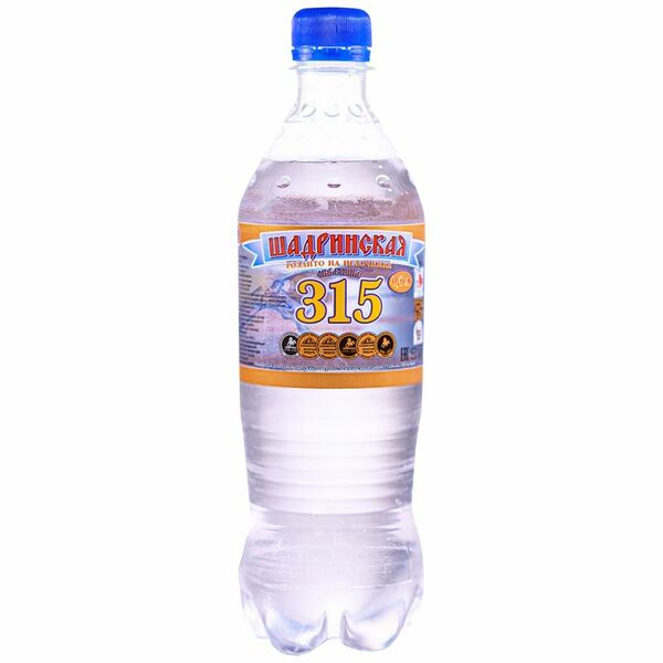 Вода минеральная Шадринская 315 лечебно-столовая, газированная, 600 мл